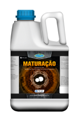 Maturação BD